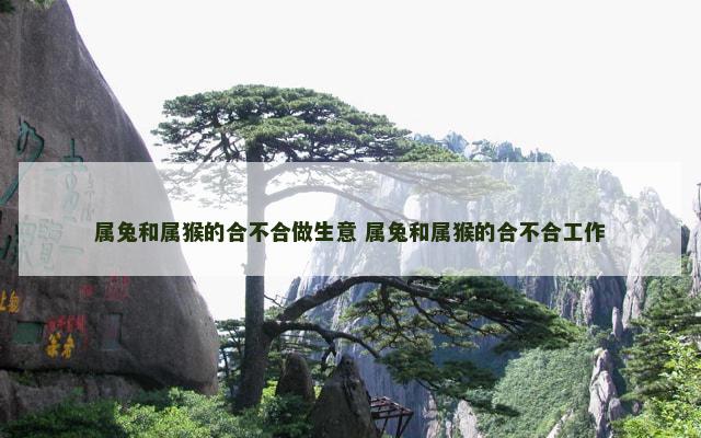 属兔和属猴的合不合做生意 属兔和属猴的合不合工作