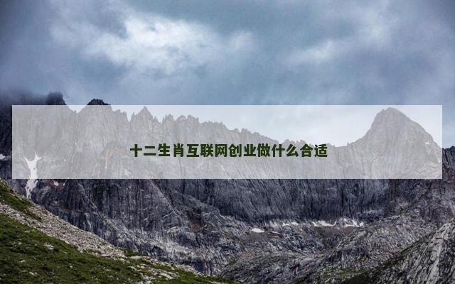 十二生肖互联网创业做什么合适