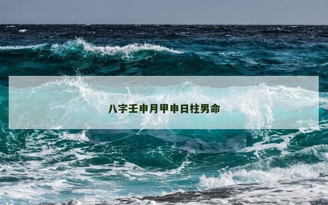 八字壬申月甲申日柱男命