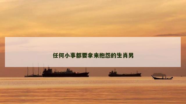 任何小事都要拿来抱怨的生肖男