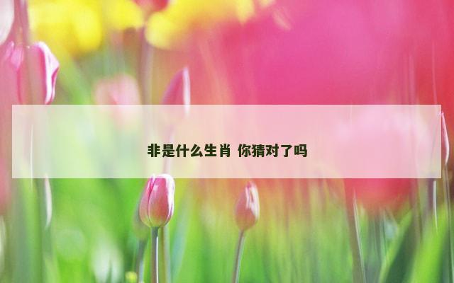 非是什么生肖 你猜对了吗