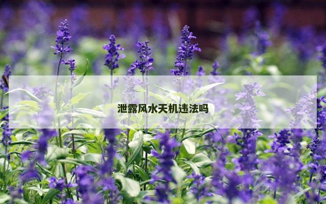 泄露风水天机违法吗