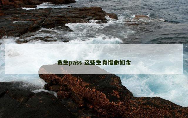 贪生pass 这些生肖惜命如金