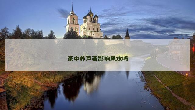 家中养芦荟影响风水吗