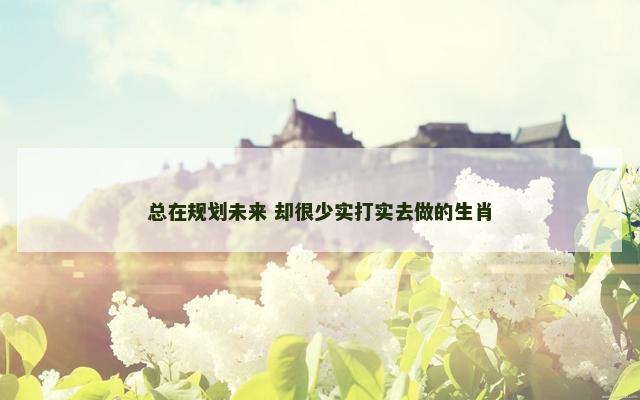 总在规划未来 却很少实打实去做的生肖
