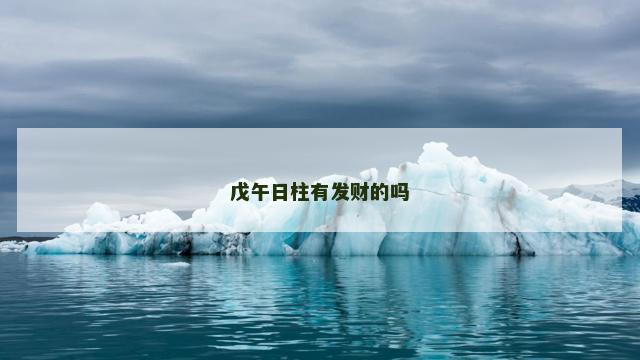 戊午日柱有发财的吗