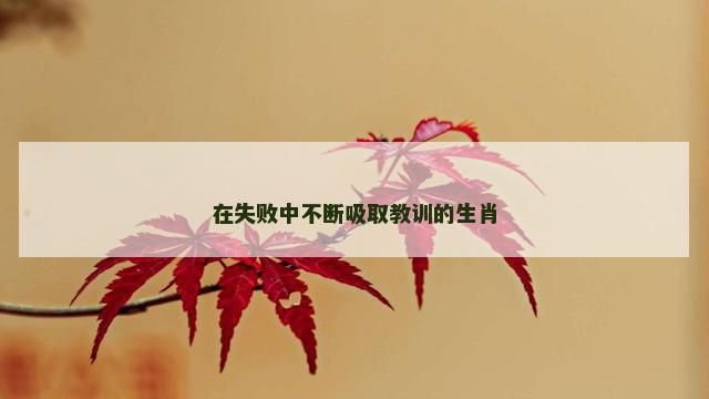在失败中不断吸取教训的生肖
