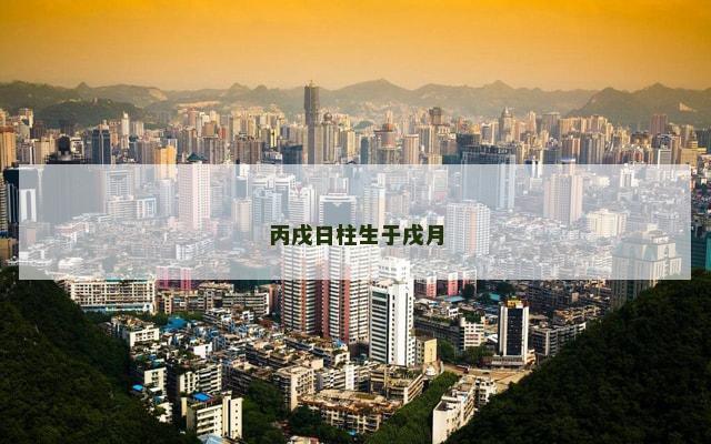 丙戌日柱生于戌月