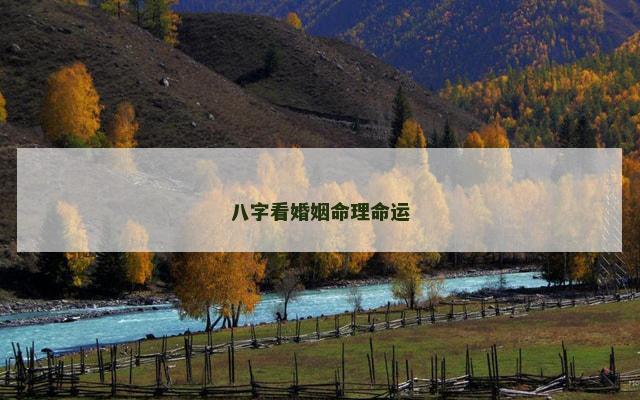 八字看婚姻命理命运