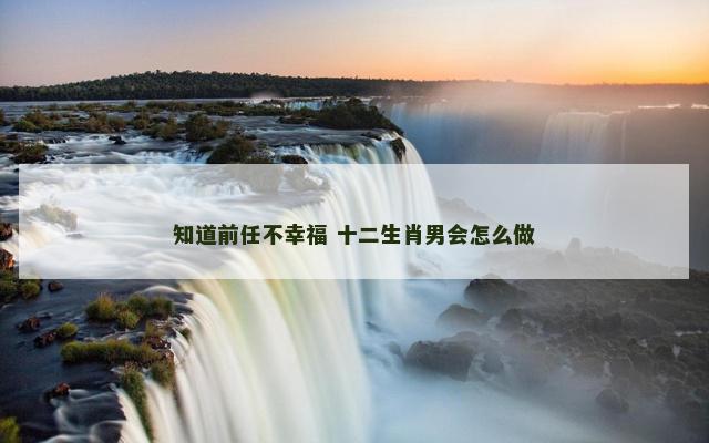知道前任不幸福 十二生肖男会怎么做
