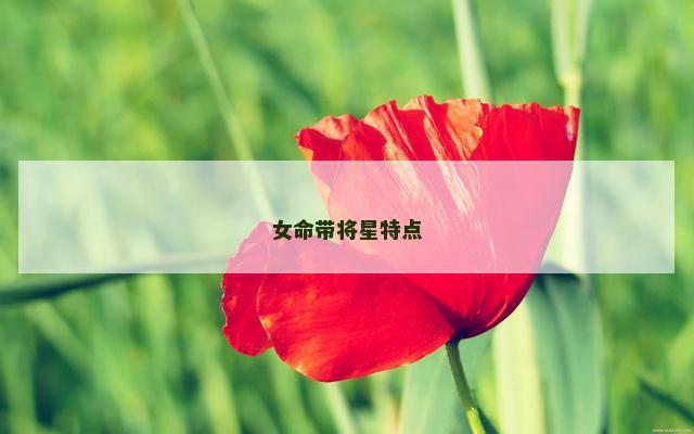 女命带将星特点