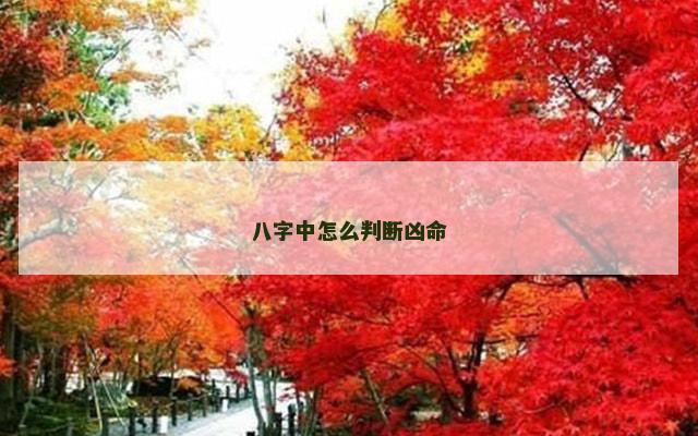 八字中怎么判断凶命