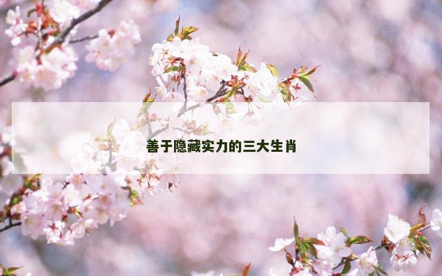 善于隐藏实力的三大生肖 善于隐藏实力的三大生肖