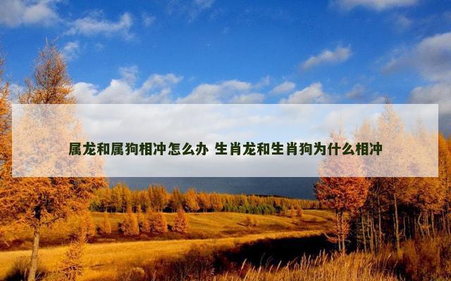 属龙和属狗相冲怎么办 生肖龙和生肖狗为什么相冲