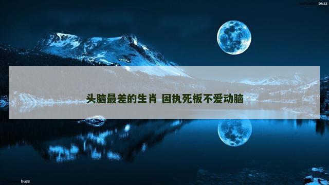 头脑最差的生肖 固执死板不爱动脑