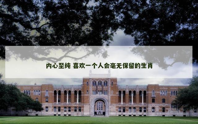 内心至纯 喜欢一个人会毫无保留的生肖