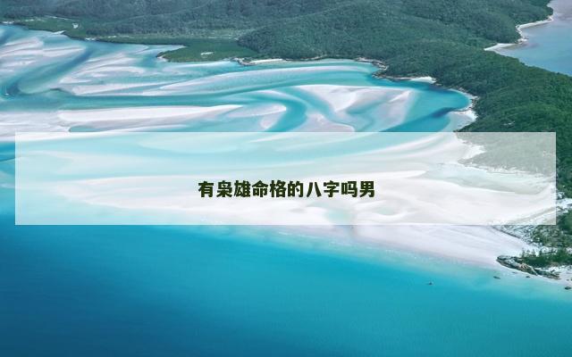 有枭雄命格的八字吗男