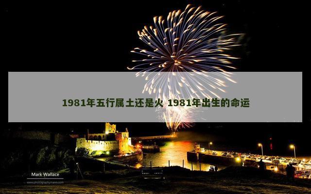 1981年五行属土还是火 1981年出生的命运