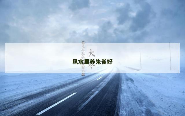 风水里养朱雀好