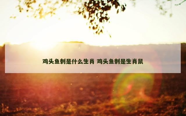 鸡头鱼刺是什么生肖 鸡头鱼刺是生肖鼠