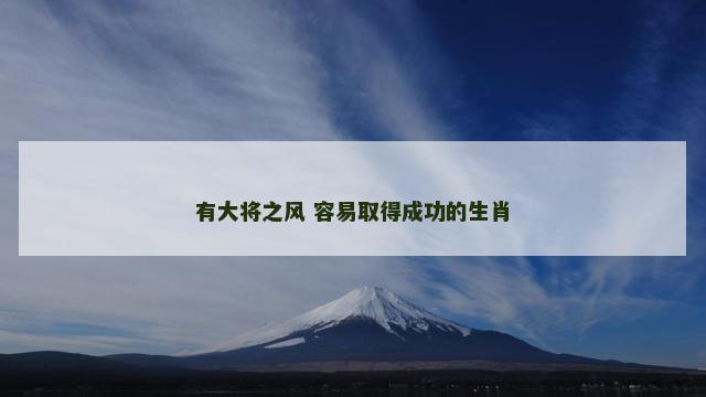 有大将之风 容易取得成功的生肖