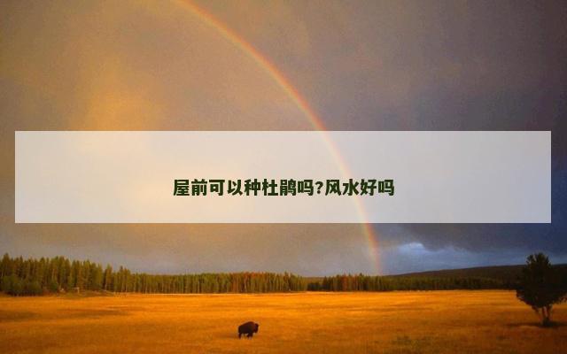 屋前可以种杜鹃吗?风水好吗
