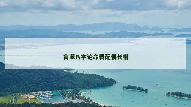 盲派八字论命看配偶长相