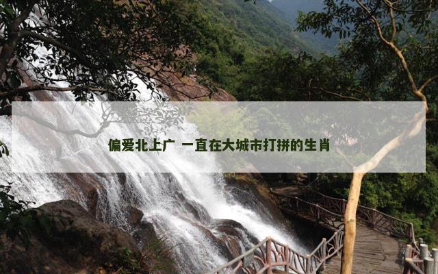 偏爱北上广 一直在大城市打拼的生肖