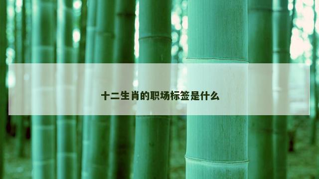 十二生肖的职场标签是什么