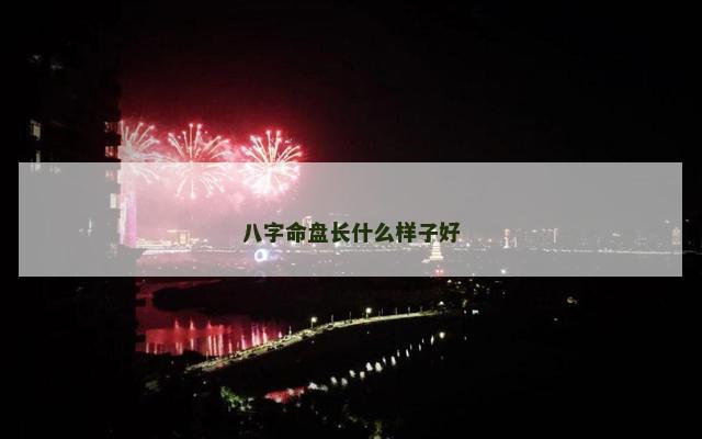 八字命盘长什么样子好