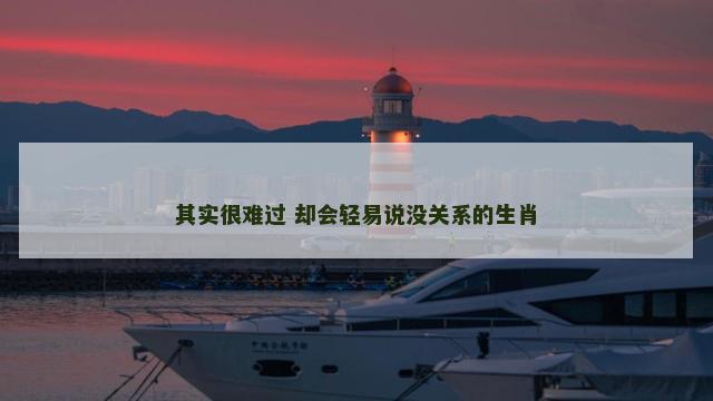 其实很难过 却会轻易说没关系的生肖