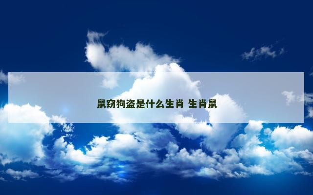 鼠窃狗盗是什么生肖 生肖鼠