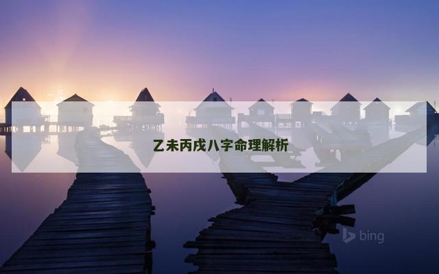 乙未丙戌八字命理解析