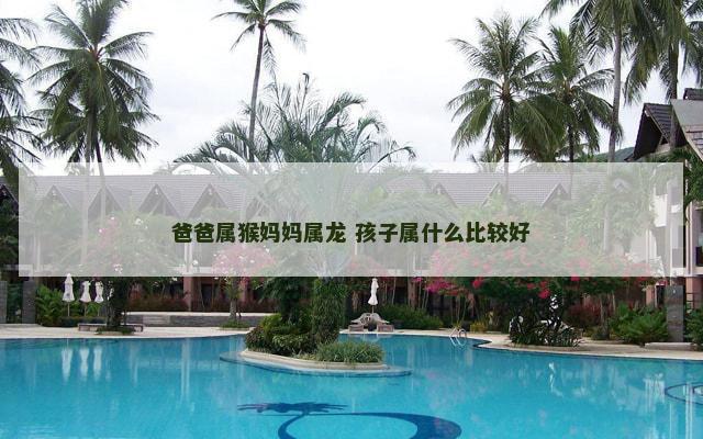 爸爸属猴妈妈属龙 孩子属什么比较好