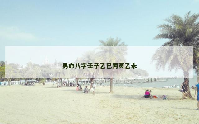 男命八字壬子乙已丙寅乙未