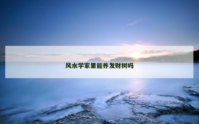 风水学家里能养发财树吗