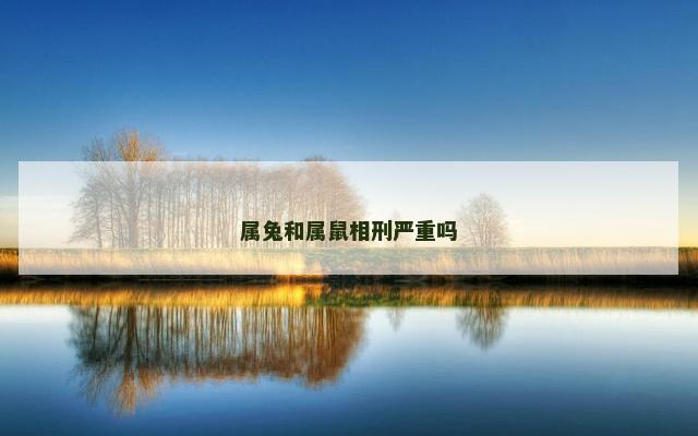 属兔和属鼠相刑严重吗