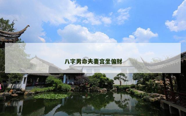 八字男命夫妻宫坐偏财